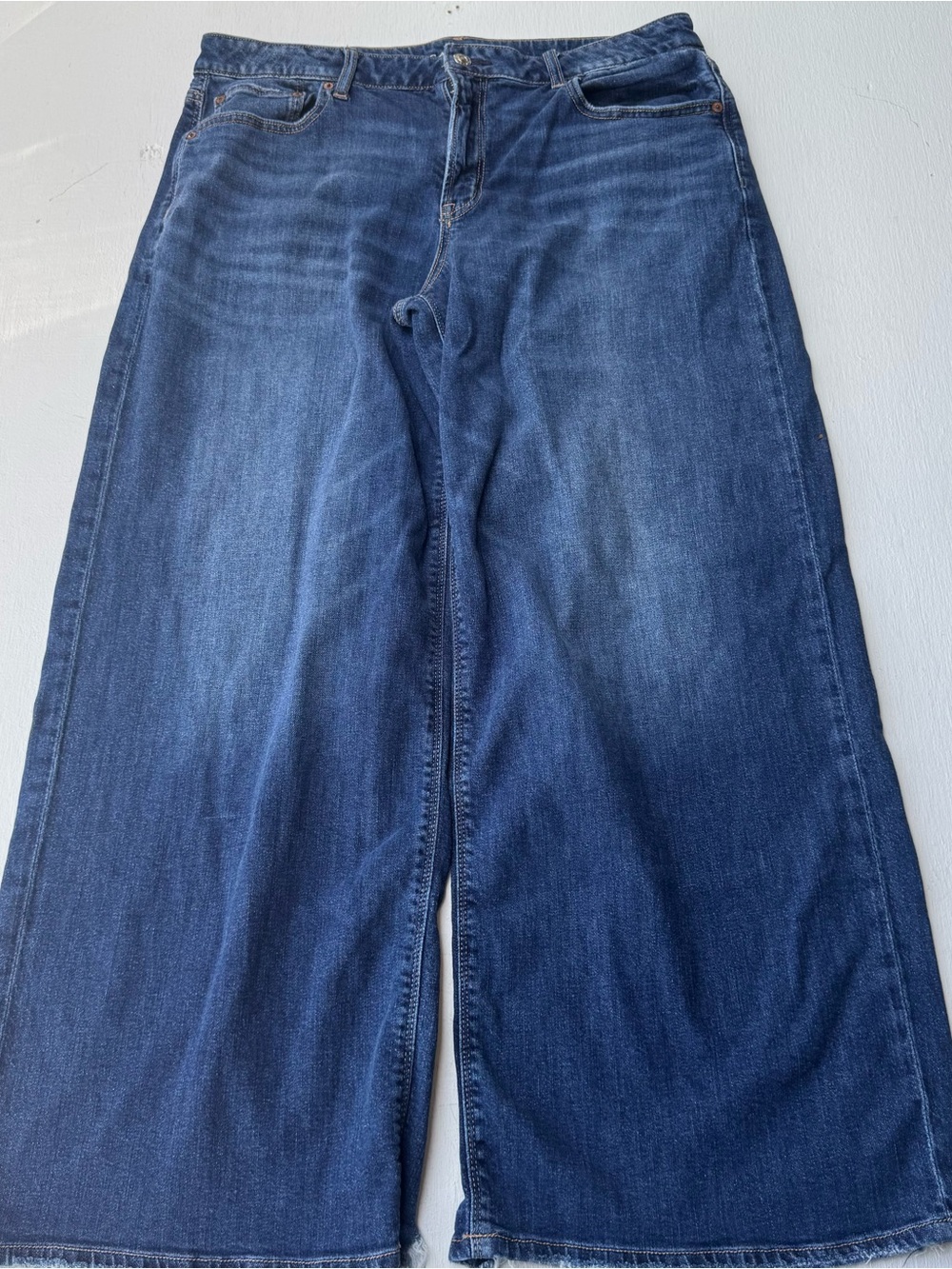 American Eagle Low Rise Baggy Wide Leg Jeans Stretch Blue Denim Sz 14 Frayed End